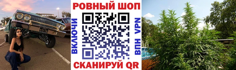 Как найти закладки Отрадное Cocaine  Псилоцибиновые грибы  Канабис  Меф мяу мяу 