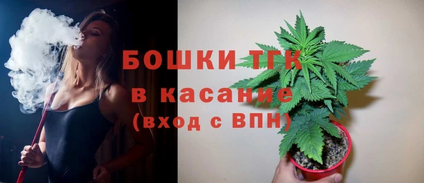 стафф Вяземский