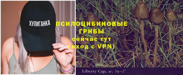 PSILOCYBIN Вязники