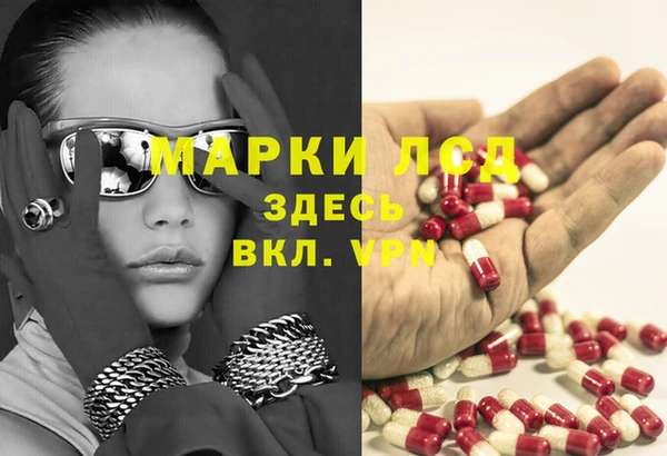 спиды Вязьма