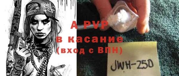 PSILOCYBIN Вязники