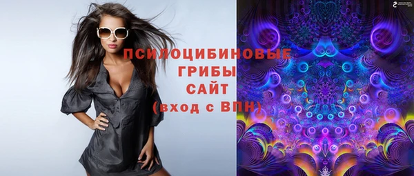 стафф Вяземский