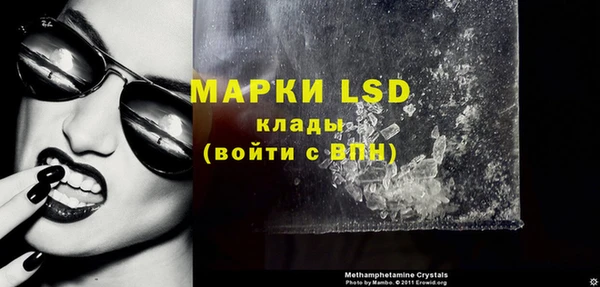 стафф Вяземский