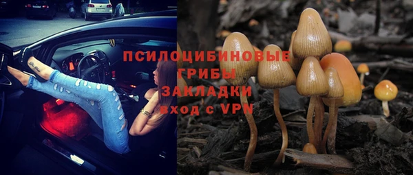 спиды Вязьма